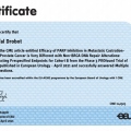 Powiększ obraz: certificate 92