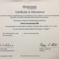 Powiększ obraz: certificate 5