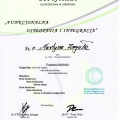 Powiększ obraz: certificate 1