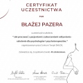 Powiększ obraz: certificate 9