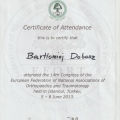 Powiększ obraz: certificate 4