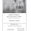 Powiększ obraz: certificate 33