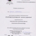 Powiększ obraz: certificate 10