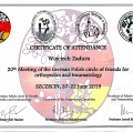 Powiększ obraz: certificate 4