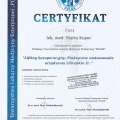 Powiększ obraz: certificate 4