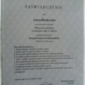 Powiększ obraz: certificate 5