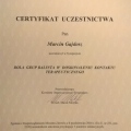 Powiększ obraz: certificate 26