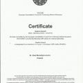 Powiększ obraz: certificate 6