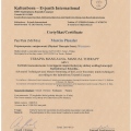 Powiększ obraz: certificate 12