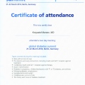 Powiększ obraz: certificate 7