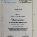 Powiększ obraz: certificate 26