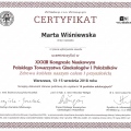 Powiększ obraz: certificate 31