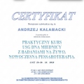 Powiększ obraz: certificate 20