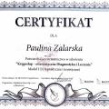 Powiększ obraz: certificate 31
