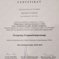 Powiększ obraz: certificate 2
