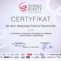 Powiększ obraz: certificate 1
