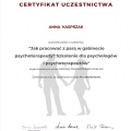 Powiększ obraz: certificate 5