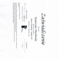 Powiększ obraz: certificate 7