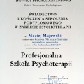 Powiększ obraz: certificate 1