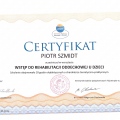 Powiększ obraz: certificate 12