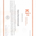 Powiększ obraz: certificate 10