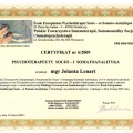 Powiększ obraz: certificate 1