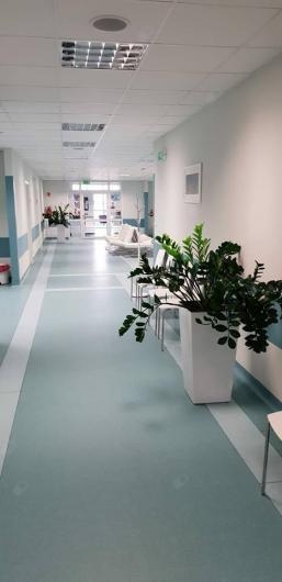 Janusz Sędzikowski-7