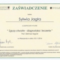 Powiększ obraz: certificate 5