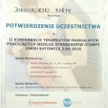 Powiększ obraz: certificate 11