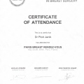 Powiększ obraz: certificate 11