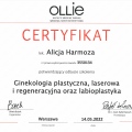 Powiększ obraz: certificate 7