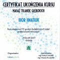 Powiększ obraz: certificate 4