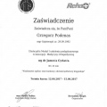 Powiększ obraz: certificate 1