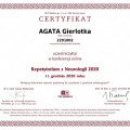 Powiększ obraz: certificate 92