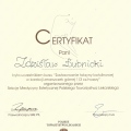 Powiększ obraz: certificate 4