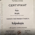 Powiększ obraz: certificate 1