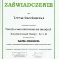 Powiększ obraz: certificate 22