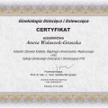 Powiększ obraz: certificate 8