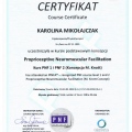 Powiększ obraz: certificate 3