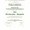 Powiększ obraz: certificate 8
