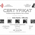 Powiększ obraz: certificate 42