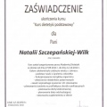 Powiększ obraz: certificate 12