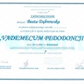 Powiększ obraz: certificate 8
