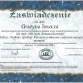 Powiększ obraz: certificate 9