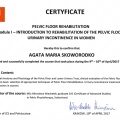 Powiększ obraz: certificate 9