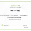 Powiększ obraz: certificate 11