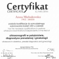 Powiększ obraz: certificate 2