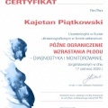 Powiększ obraz: certificate 9
