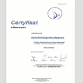 Powiększ obraz: certificate 8