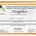 Powiększ obraz: certificate 30